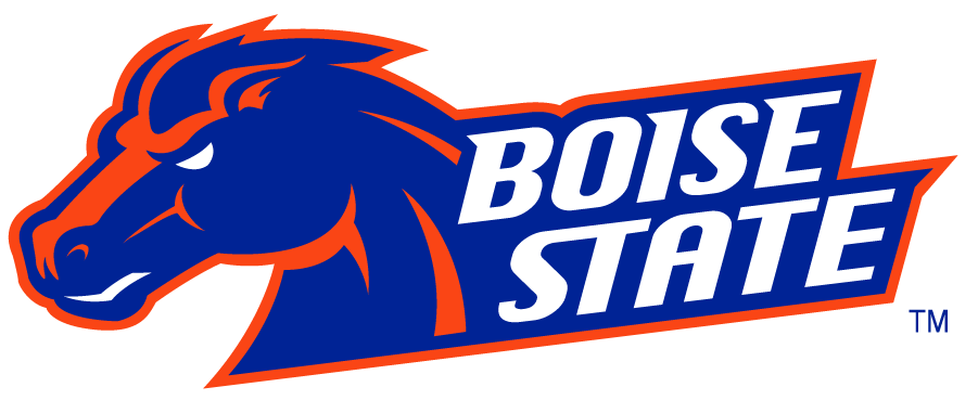 Boise State Broncos 2002-2012 Secondary Logo v21 iron on transfers for clothing